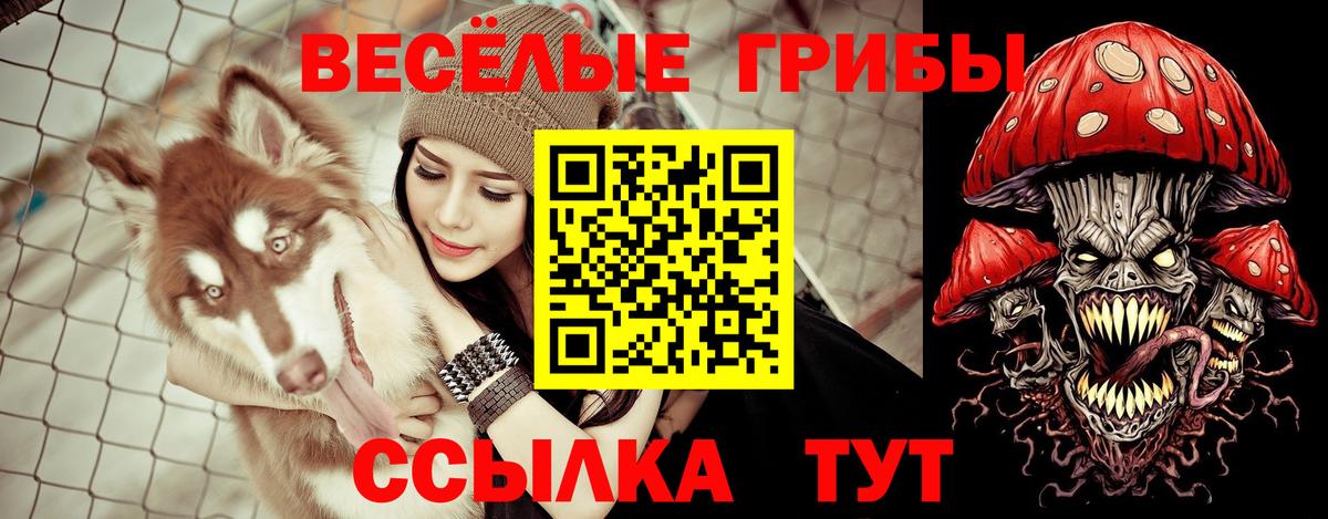 Псилоцибиновые грибы GOLDEN TEACHER Грязи